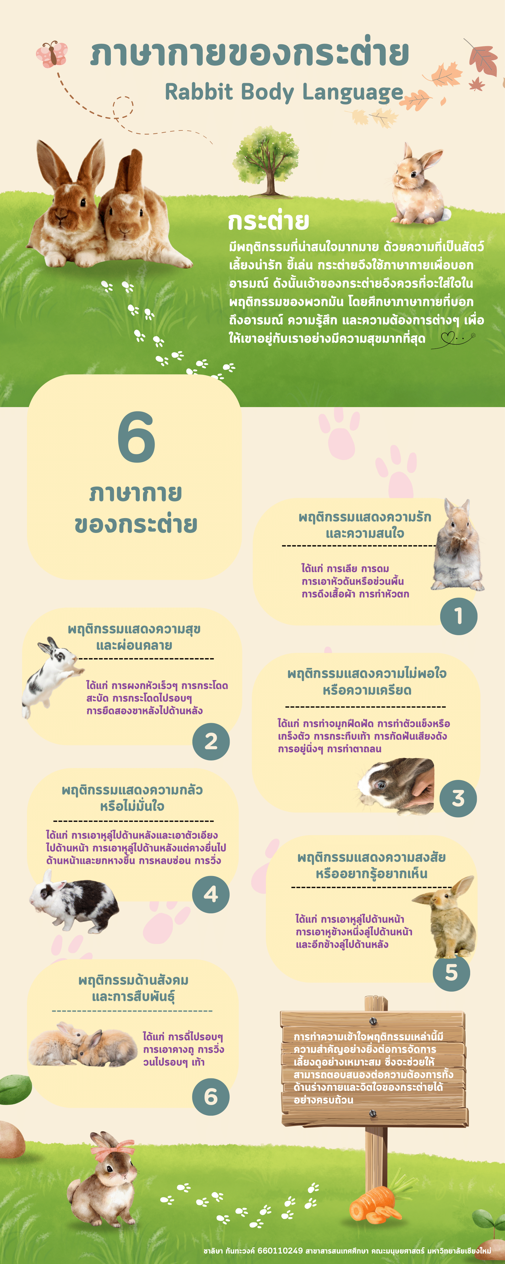 กิจกรรมคณะ